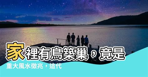 家中有鳥築巢 風水|【家中有鳥築巢】鳥築巢兆頭！家中有鳥築巢的風水好運